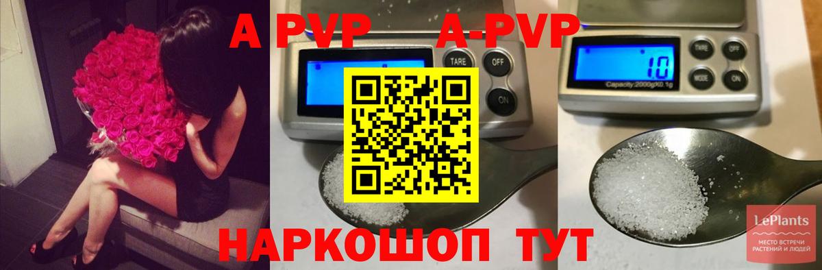 Alfa_PVP СК Камышин