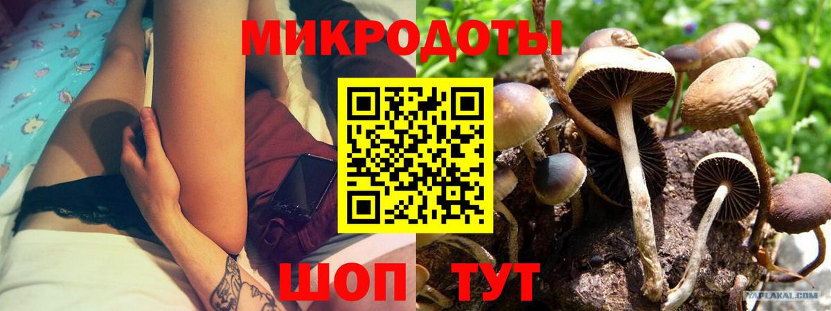 Псилоцибиновые грибы Magic Shrooms Камышин