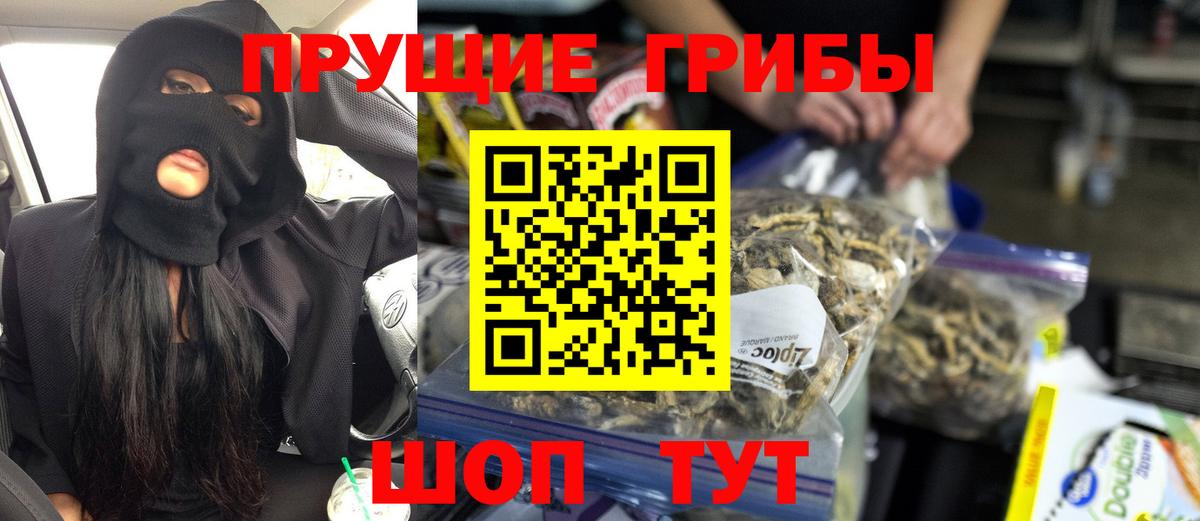 Псилоцибиновые грибы GOLDEN TEACHER  Камышин 