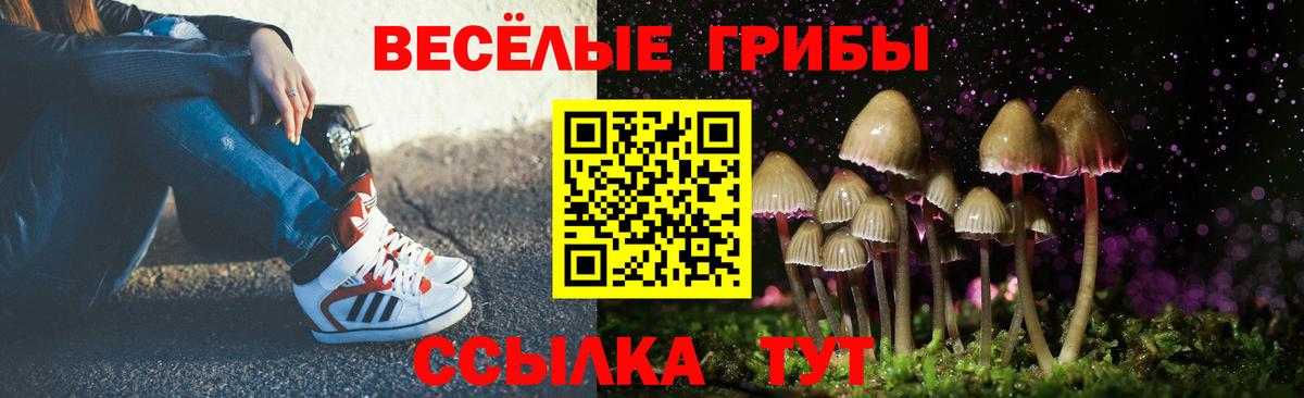 Галлюциногенные грибы ЛСД  Вход с VPN  продажа наркотиков  Камышин 